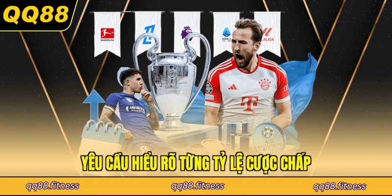 Yêu cầu hiểu rõ từng tỷ lệ cược chấp